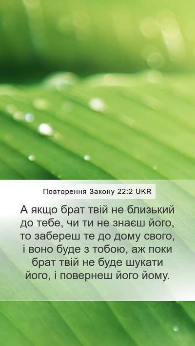 Повторення Закону 22:2 UKR Mobile Phone Wallpaper - А якщо брат твій не - Mobile Bible Verse Wallpaper