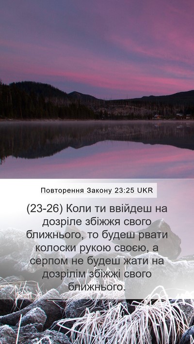 Повторення Закону 23:25 UKR Mobile Phone Wallpaper - (23-26) Коли ти ввійдеш на - Mobile Bible Verse Wallpaper