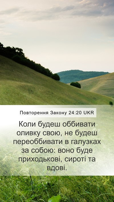 Повторення Закону 24:20 UKR Mobile Phone Wallpaper - Коли будеш оббивати оливку - Mobile Bible Verse Wallpaper