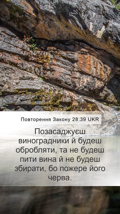 Повторення Закону 28:39 UKR Bible Verse Image