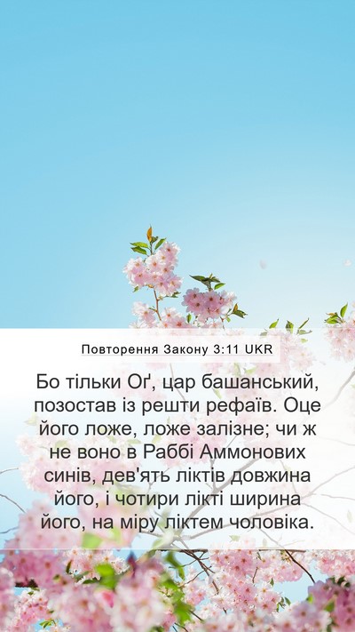Повторення Закону 3:11 UKR Bible Verse Image