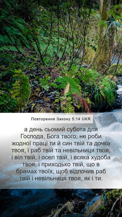 Повторення Закону 5:14 UKR Bible Verse Image
