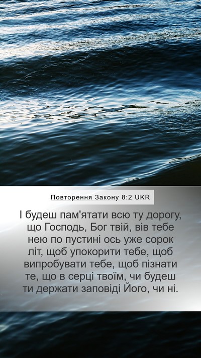 Повторення Закону 8:2 UKR Bible Verse Image