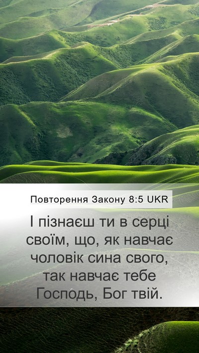 Повторення Закону 8:5 UKR Bible Verse Image