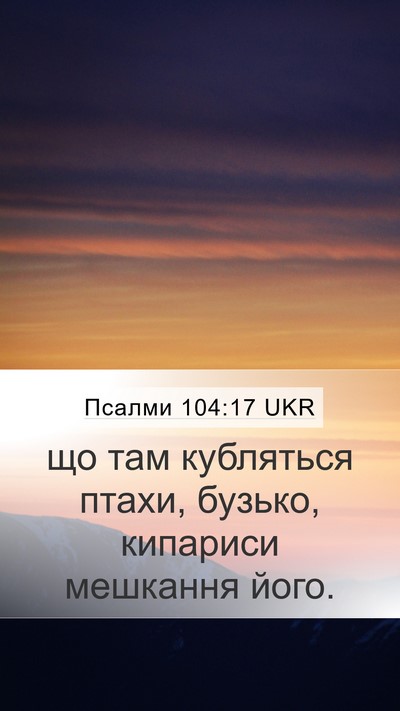 Псалми 104:17 UKR Bible Verse Image