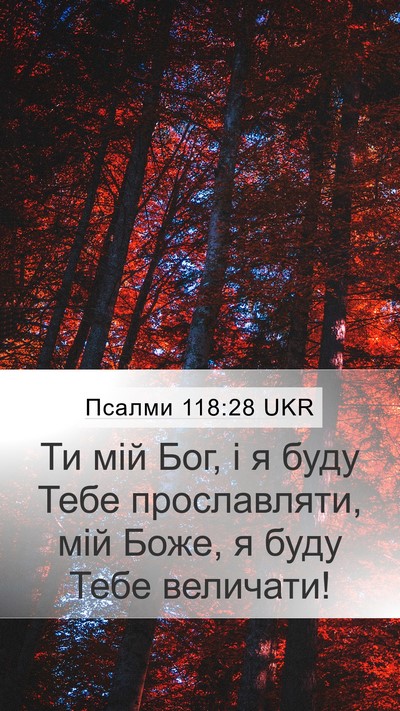 Псалми 118:28 UKR Bible Verse Image