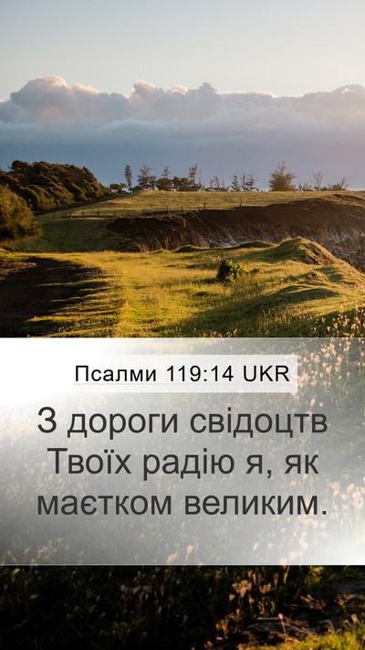 Псалми 119:14 UKR Bible Verse Image