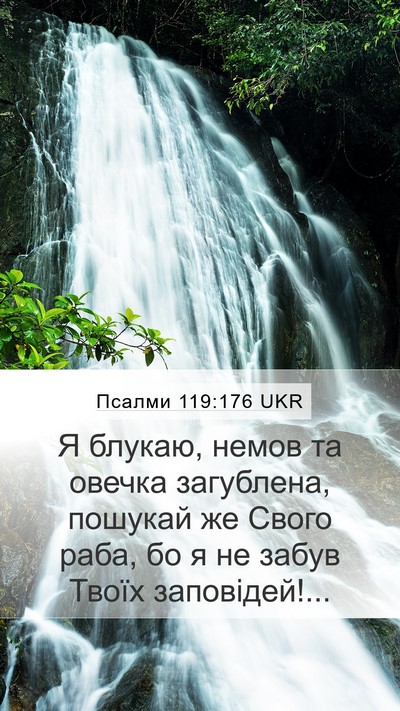 Псалми 119:176 UKR Bible Verse Image
