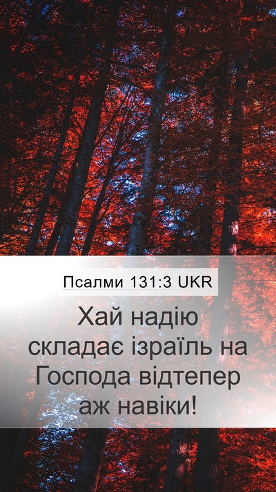 Псалми 131:3 UKR Mobile Phone Wallpaper - Хай надію складає ізраїль - Mobile Bible Verse Wallpaper