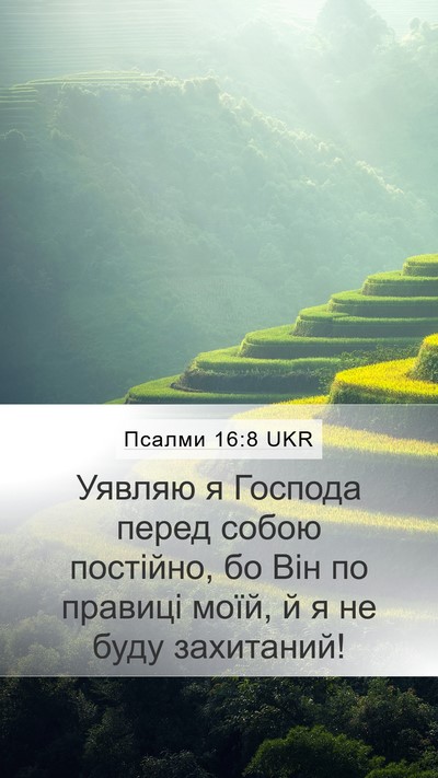 Псалми 16:8 UKR Bible Verse Image