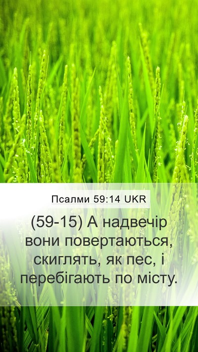 Псалми 59:14 UKR Bible Verse Image