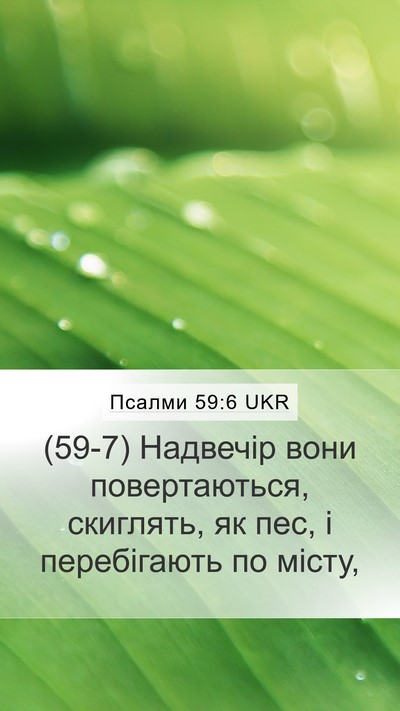 Псалми 59:6 UKR Mobile Phone Wallpaper - (59-7) Надвечір вони - Mobile Bible Verse Wallpaper