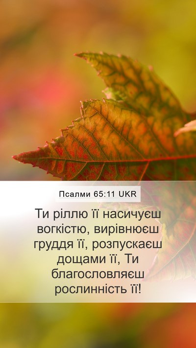 Псалми 65:11 UKR Bible Verse Image