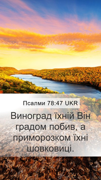 Псалми 78:47 UKR Bible Verse Image
