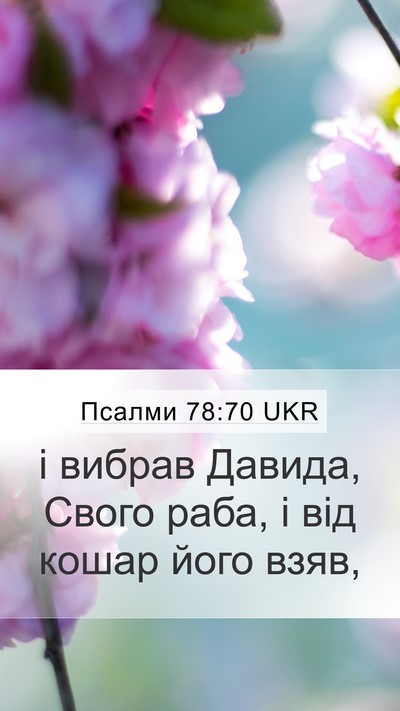 Псалми 78:70 UKR Bible Verse Image