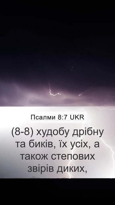 Псалми 8:7 UKR Mobile Phone Wallpaper - (8-8) худобу дрібну та биків, - Mobile Bible Verse Wallpaper