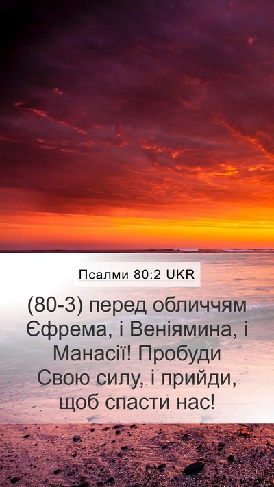 Псалми 80:2 UKR Bible Verse Image