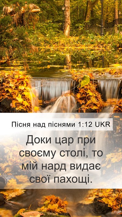 Пісня над піснями 1:12 UKR Bible Verse Image