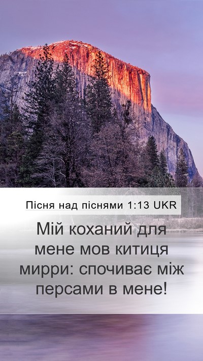 Пісня над піснями 1:13 UKR Bible Verse Image