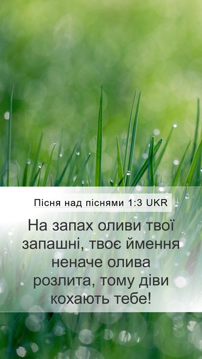 Пісня над піснями 1:3 UKR Bible Verse Image