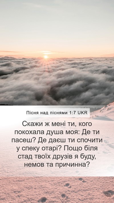 Пісня над піснями 1:7 UKR Bible Verse Image