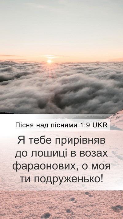 Пісня над піснями 1:9 UKR Bible Verse Image