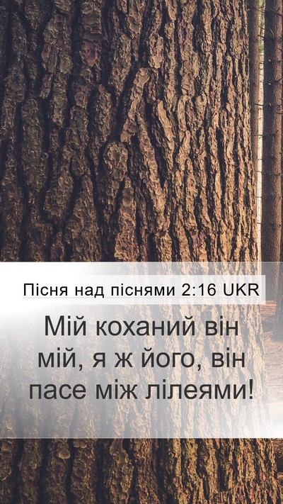 Пісня над піснями 2:16 UKR Mobile Phone Wallpaper - Мій коханий він мій, я ж - Mobile Bible Verse Wallpaper