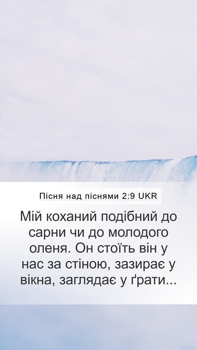 Пісня над піснями 2:9 UKR Bible Verse Image