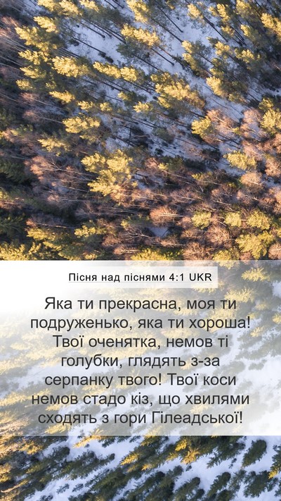 Пісня над піснями 4:1 UKR Bible Verse Image