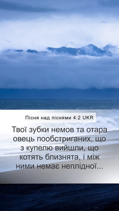 Пісня над піснями 4:2 UKR Mobile Phone Wallpaper - Твої зубки немов та отара - Mobile Bible Verse Wallpaper