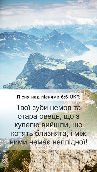 Пісня над піснями 6:6 UKR Bible Verse Image