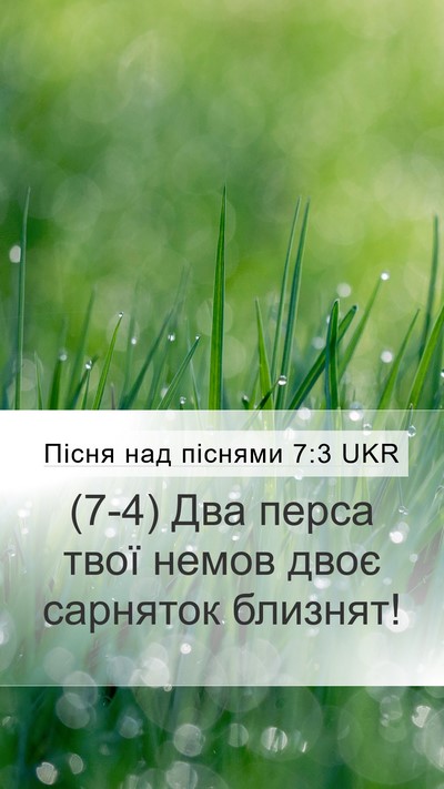 Пісня над піснями 7:3 UKR Bible Verse Image