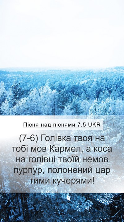 Пісня над піснями 7:5 UKR Bible Verse Image