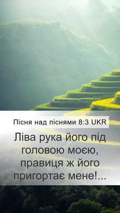 Пісня над піснями 8:3 UKR Bible Verse Image