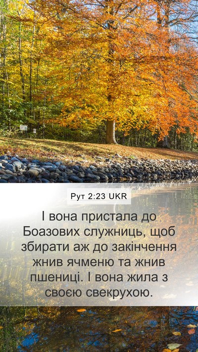 Рут 2:23 UKR Bible Verse Image
