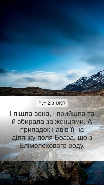 Рут 2:3 UKR Bible Verse Image