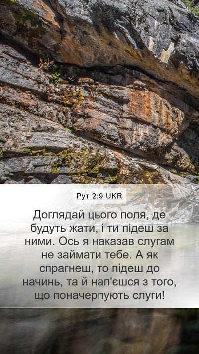 Рут 2:9 UKR Mobile Phone Wallpaper - Доглядай цього поля, де - Mobile Bible Verse Wallpaper