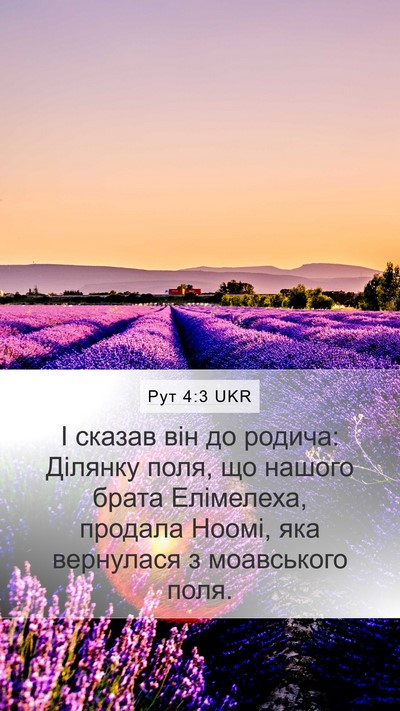 Рут 4:3 UKR Bible Verse Image