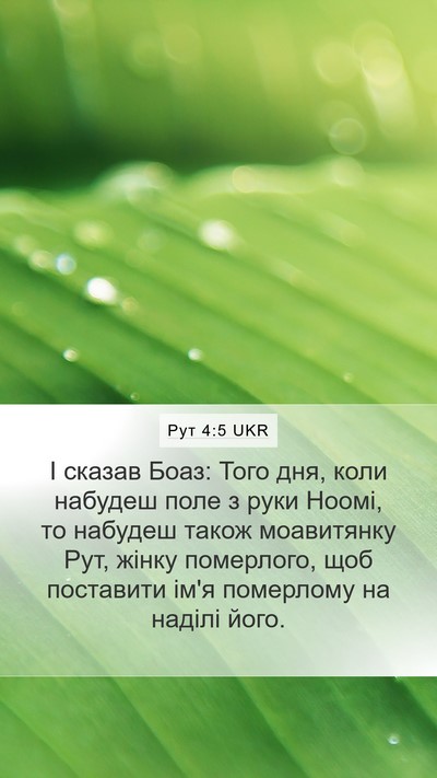 Рут 4:5 UKR Bible Verse Image