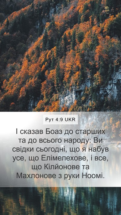 Рут 4:9 UKR Mobile Phone Wallpaper - І сказав Боаз до старших та - Mobile Bible Verse Wallpaper