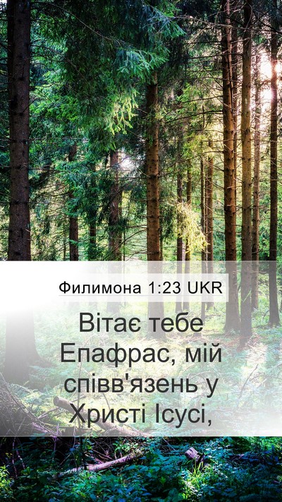 Филимона 1:23 UKR Mobile Phone Wallpaper - Вітає тебе Епафрас, мій - Mobile Bible Verse Wallpaper