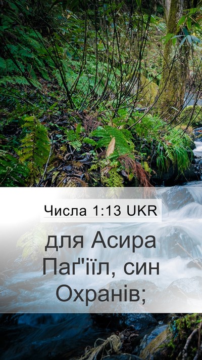 Числа 1:13 UKR Mobile Phone Wallpaper - для Асира Паґ'іїл, син - Mobile Bible Verse Wallpaper