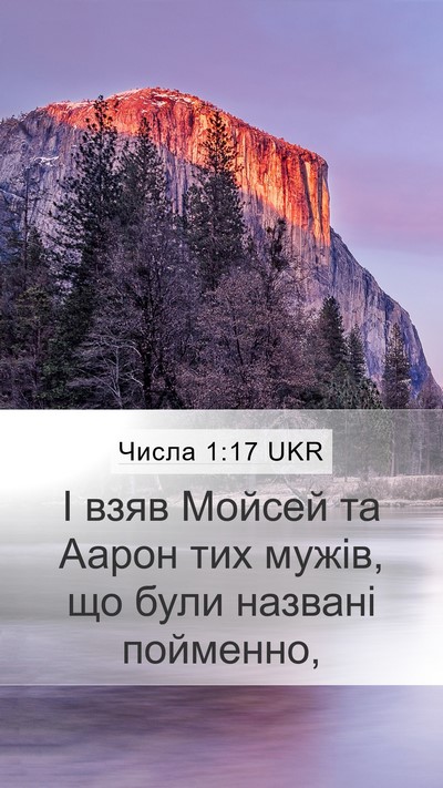 Числа 1:17 UKR Bible Verse Image