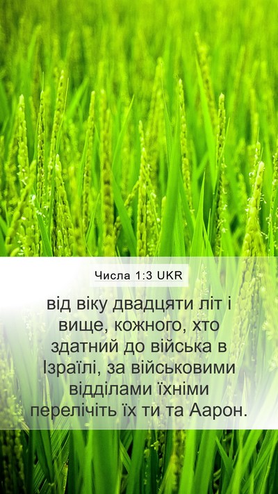 Числа 1:3 UKR Mobile Phone Wallpaper - від віку двадцяти літ і - Mobile Bible Verse Wallpaper