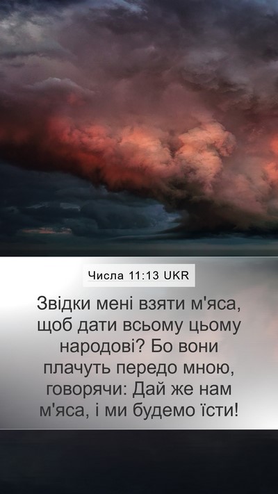 Числа 11:13 UKR Mobile Phone Wallpaper - Звідки мені взяти м'яса, - Mobile Bible Verse Wallpaper