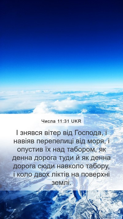 Числа 11:31 UKR Bible Verse Image