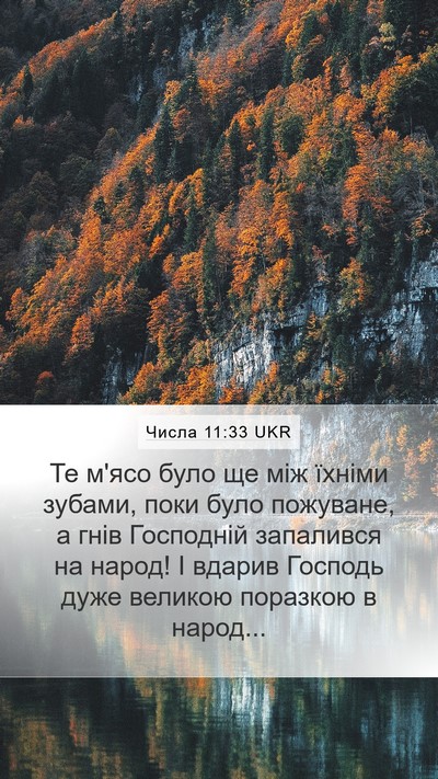 Числа 11:33 UKR Bible Verse Image