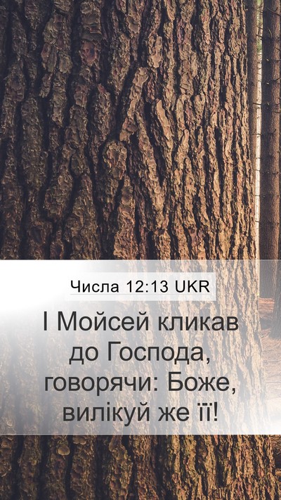 Числа 12:13 UKR Mobile Phone Wallpaper - І Мойсей кликав до Господа, - Mobile Bible Verse Wallpaper