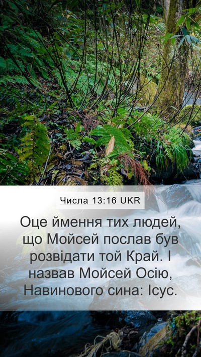 Числа 13:16 UKR Bible Verse Image