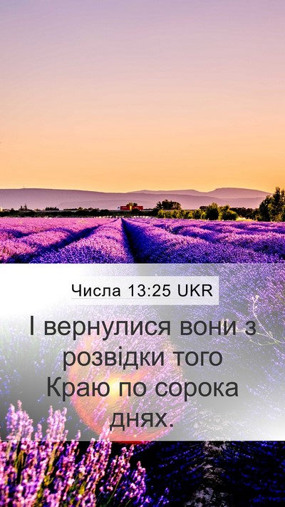 Числа 13:25 UKR Mobile Phone Wallpaper - І вернулися вони з - Mobile Bible Verse Wallpaper